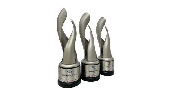 Team-Metal是2021年新加坡企业50奖的前十名获奖者之一